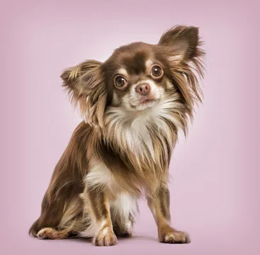 运动博主 推荐人像2